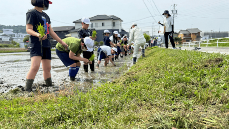 【お米づくり】小学生に田植え体験をしていただきました！:岡崎農業法人オペレーター加藤